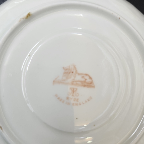 Spode Ryde T-Cup and Saucer - Picture 11 of 13